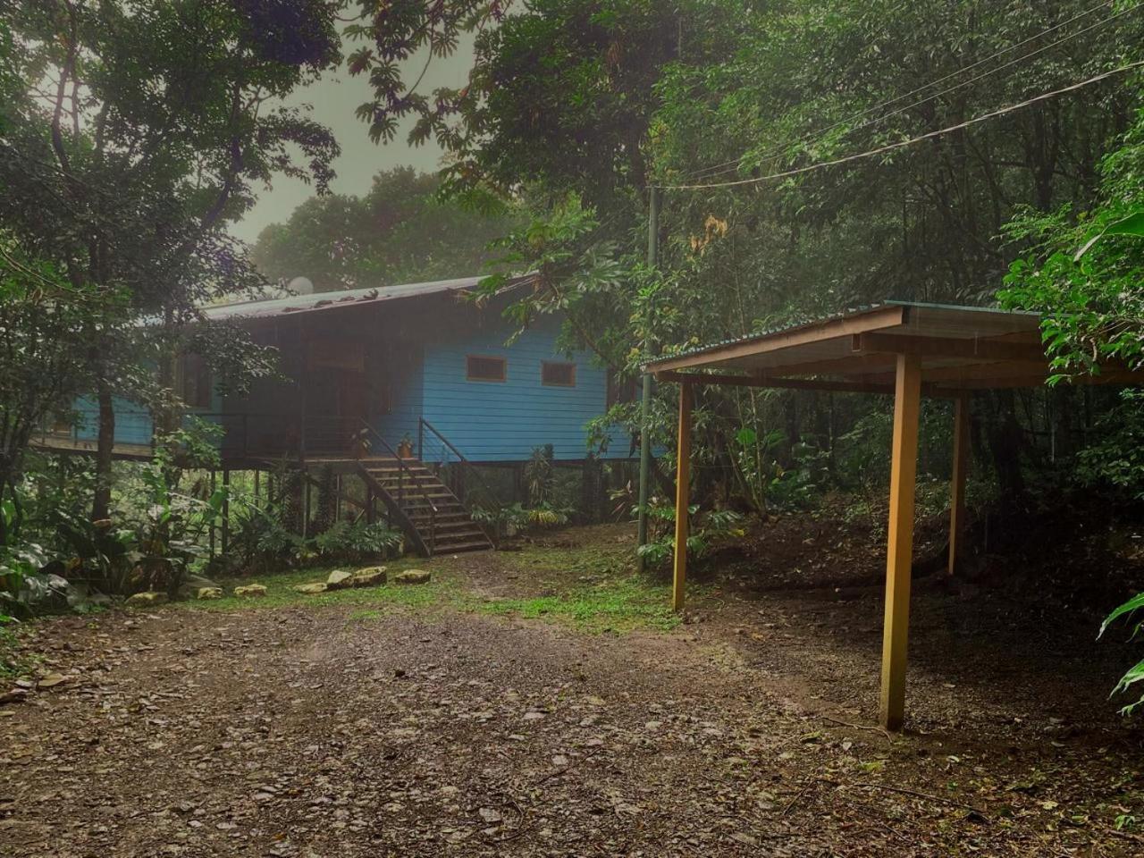 Above The Gulf, Vacation House Monteverde Buitenkant foto