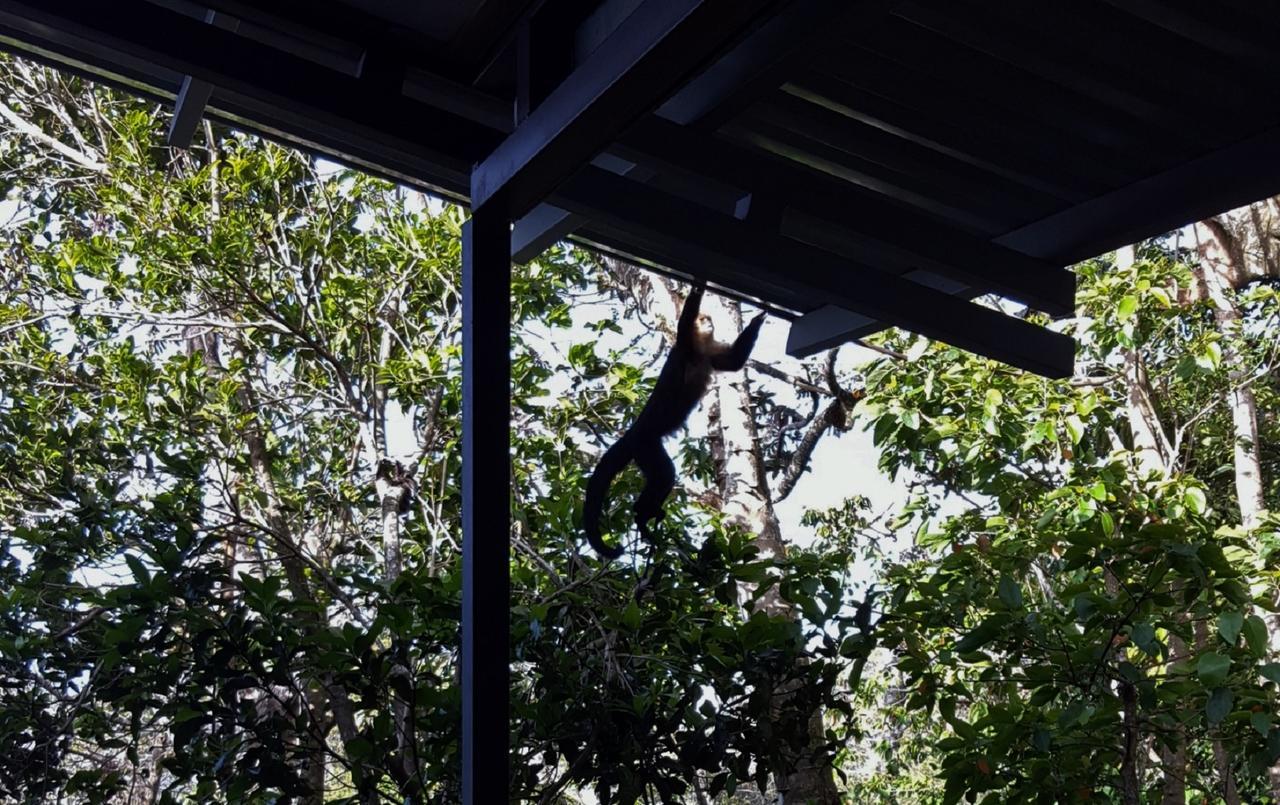 Above The Gulf, Vacation House Monteverde Buitenkant foto